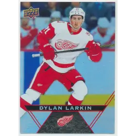 2018-19 TIM HORTONS - DYLAN LARKIN #90