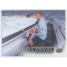 2018-19 UPPER DECK - JOE PAVELSKI #C66 UD CANVAS