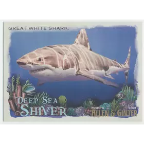 2021 Topps Allen & Ginter - Great White Shark #DSS-1 Deep Sea Shiver