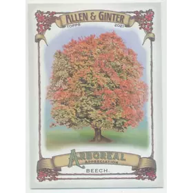 2021 Topps Allen & Ginter - Beech #AA-15 Arboreal Appreciation