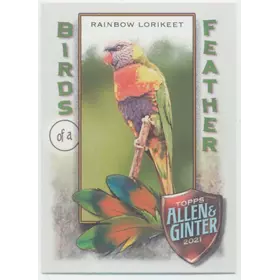 2021 Topps Allen & Ginter - Rainbow Lorikeet #BOF-10 Birds of a Feather