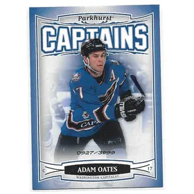 2006-07 Parkhurst #217 Adam Oates (0927/3999)