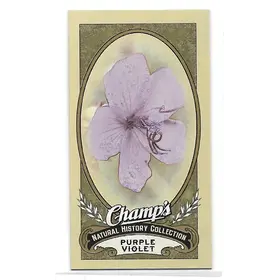 2009-10 Champ's #495 Purple Violet