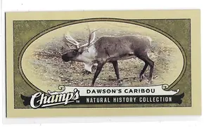2009-10 Champ's #459 Dawson's Caribou
