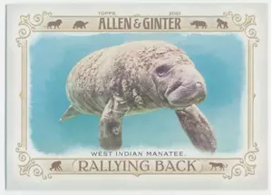 2021 Topps Allen & Ginter - West Indian Manatee #RB-10 Rallying Back