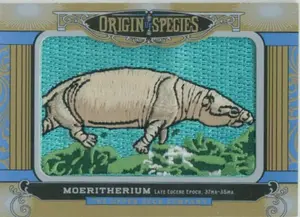 2016 Goodwin Champions - Moeritherium #OS209 Origin of Species
