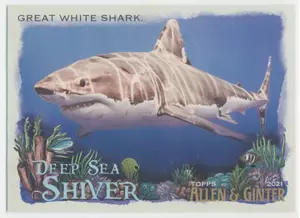 2021 Topps Allen & Ginter - Great White Shark #DSS-1 Deep Sea Shiver