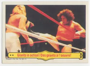 1985 O-Pee-Chee WWF - Andre the Giant/Big John Studd #48 "Giants In Action!" RC⚠️