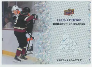 2023-24 UPPER DECK - LIAM O'BRIEN #DB-7 DIRECTOR OF BOARDS SPECKLE