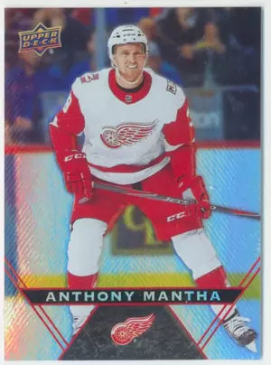 2018-19 TIM HORTONS - ANTHONY MANTHA #39