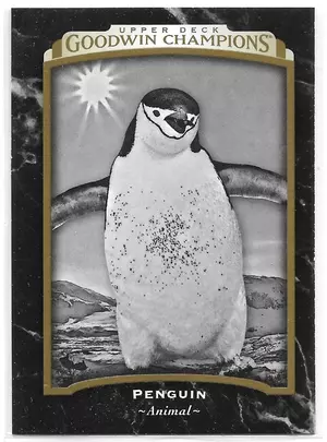 2017 Goodwin Champions #122 Penguin