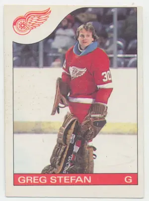 1985-86 O-Pee-Chee - Greg Stefan #157 ⚠
