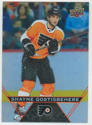 2018-19 TIM HORTONS - SHAYNE GOSTISBEHERE #66