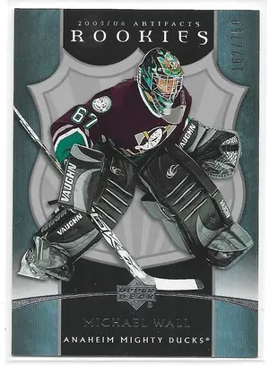 2005-06 Artifacts #245 Michael Wall RC (162/750)