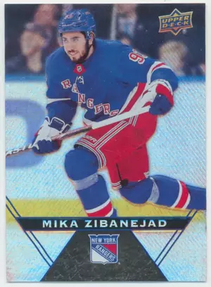 2018-19 TIM HORTONS - MIKA ZIBANEJAD #114