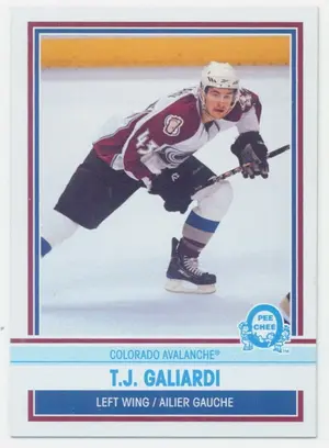 2009-10 O-PEE-CHEE - T.J. GALIARDI #507 RETRO