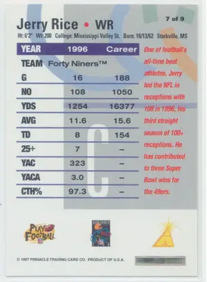 1997 Pinnacle Jerry Rice Rembrandt #7