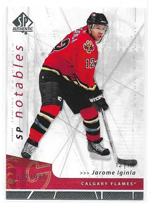2006-07 SP Authentic #118 Jarome Iginla (122/999)