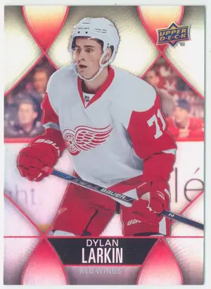 2016-17 TIM HORTONS - DYLAN LARKIN #73