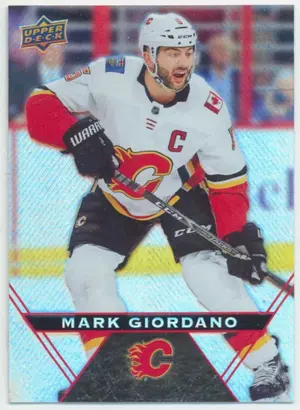 2018-19 TIM HORTONS - MARK GIORDANO #102
