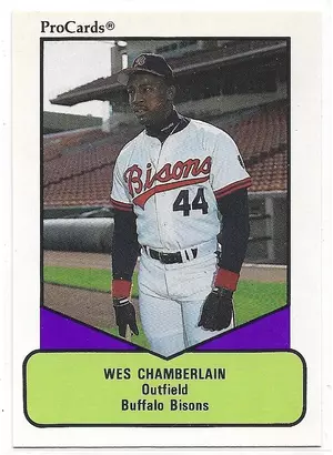 1990 ProCards AAA #501 Wes Chamberlain