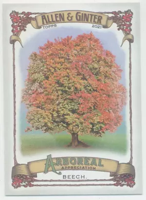 2021 Topps Allen & Ginter - Beech #AA-15 Arboreal Appreciation