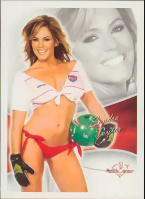 2013 Benchwarmer BubbleGum - Sandra Taylor #19