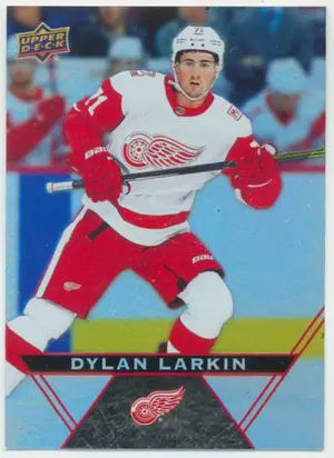 2018-19 TIM HORTONS - DYLAN LARKIN #90