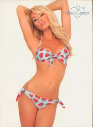 2003 Benchwarmer Series 2 - Lisa Gleave #108