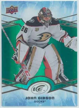 2018-19 ICE - JOHN GIBSON #34 GREEN
