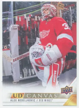2022-23 UPPER DECK - ALEX NEDELJKOVIC #C31 UD CANVAS