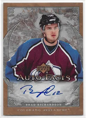 2007-08 Artifacts Auto-Facts #AF-BR Brad Richardson