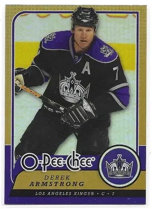 2008-09 O-Pee-Chee Gold #257 Derek Armstrong