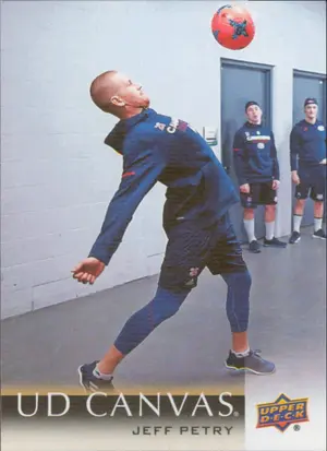 2018-19 UPPER DECK - JEFF PETRY #C46 UD CANVAS