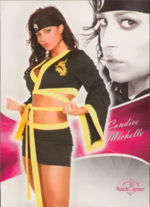 2011 Benchwarmer Bubblegum - Candice Michelle #96