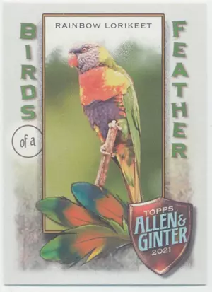 2021 Topps Allen & Ginter - Rainbow Lorikeet #BOF-10 Birds of a Feather