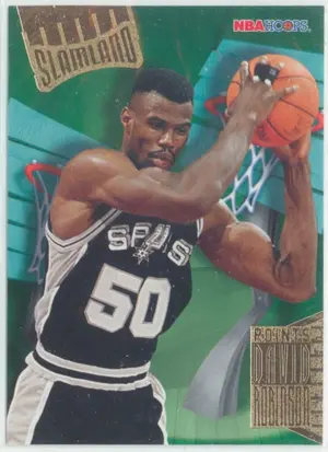1995-96 NBA Hoops - David Robinson #SL42 Slamland