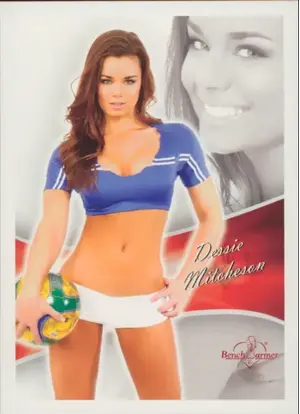 2013 Benchwarmer BubbleGum - Dessie Mitcheson #96