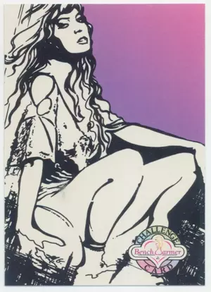 1992 Benchwarmer - Challenge Card #107