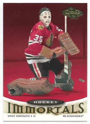 2000-01 UD Heroes #124 Tony Esposito