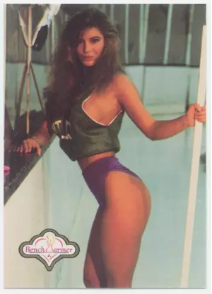 1992 Benchwarmer - Christy Sandoval #114