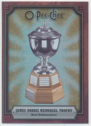 2008-09 O-PEE-CHEE - JAMES NORRIS MEMORIAL TROPHY #AWD-NL TROPHIES