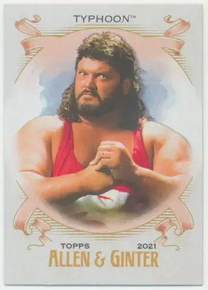 2021 Topps Heritage WWE - Typhoon #AG-22 Allen & Ginter