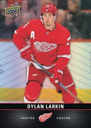 2019-20 TIM HORTONS - DYLAN LARKIN #110