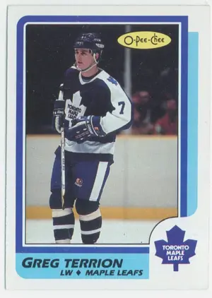 1986-87 O-PEE-CHEE - GREG TERRION #244