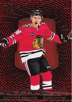 2023-24 Upper Deck Seeing Red SR-45 Connor Bedard