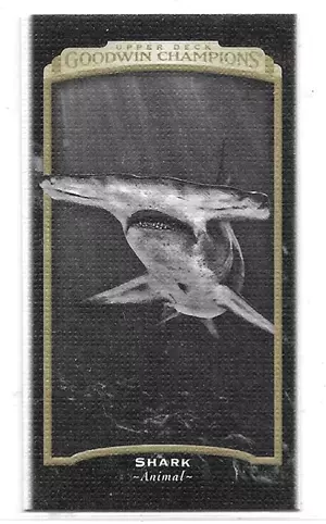 2017 Goodwin Champions Mini Canvas #124 Shark