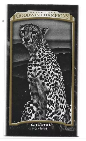 2017 Goodwin Champions Mini #125 Cheetah