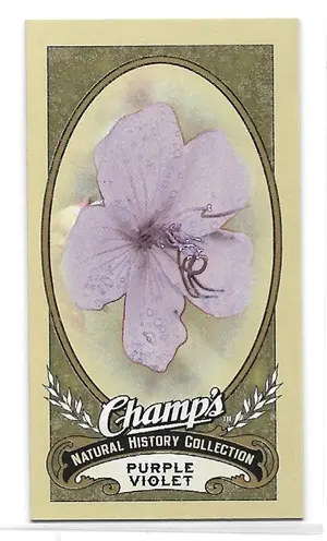 2009-10 Champ's #495 Purple Violet