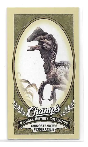 2009-10 Champ's #446 Chirostenotes Pergracilis